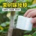 嫁接膜3-5公分进口塑料嫁接专用膜自粘型无需打结果树嫁接