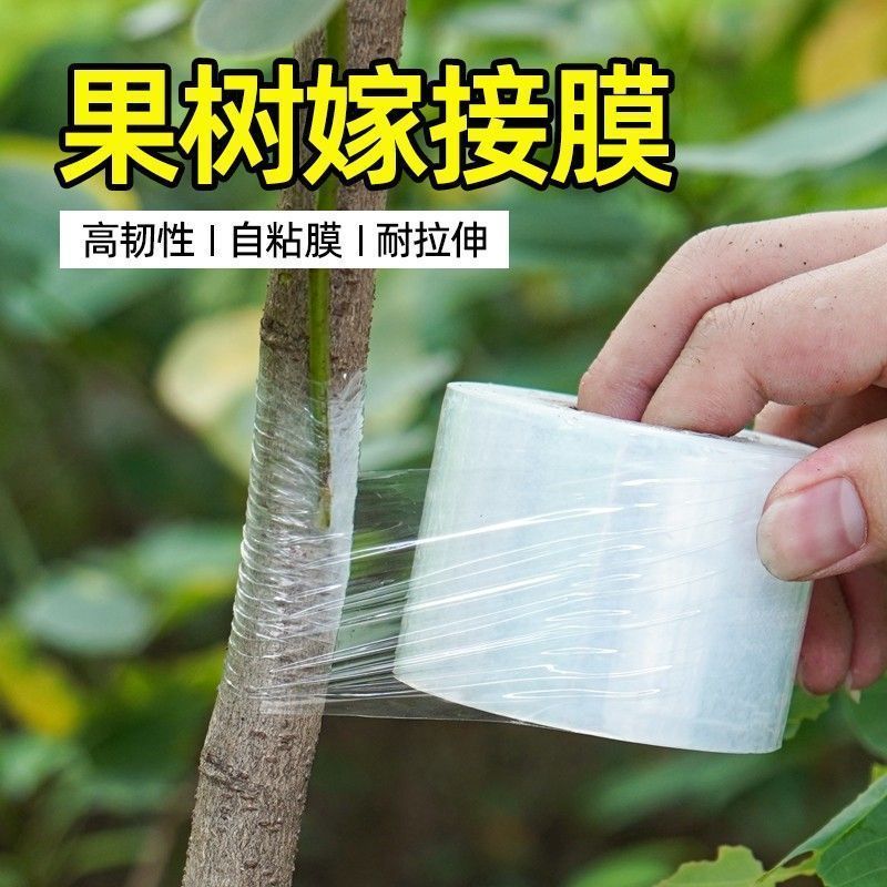 嫁接膜3-5公分进口塑料嫁接专用膜自粘型无需打结果树嫁接