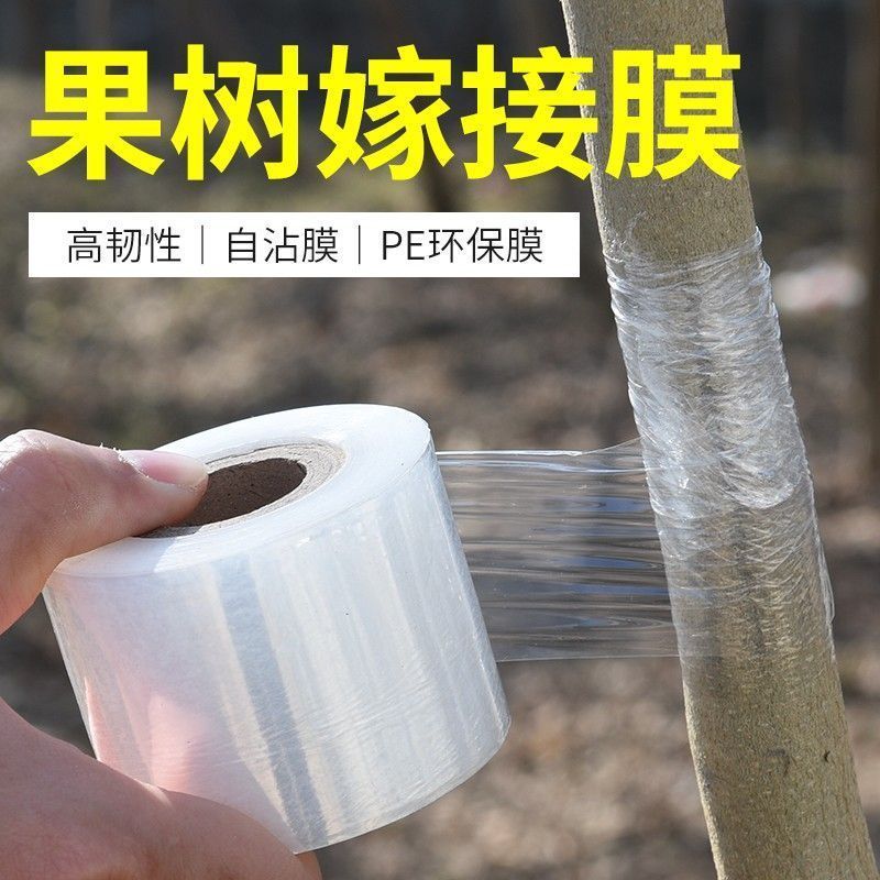 嫁接膜3-5公分进口塑料嫁接专用膜自粘型无需打结果树嫁接