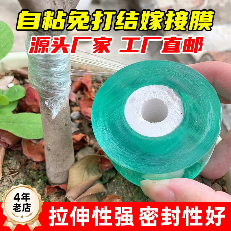 嫁接膜3-5公分进口塑料嫁接专用膜自粘型无需打结果树嫁接