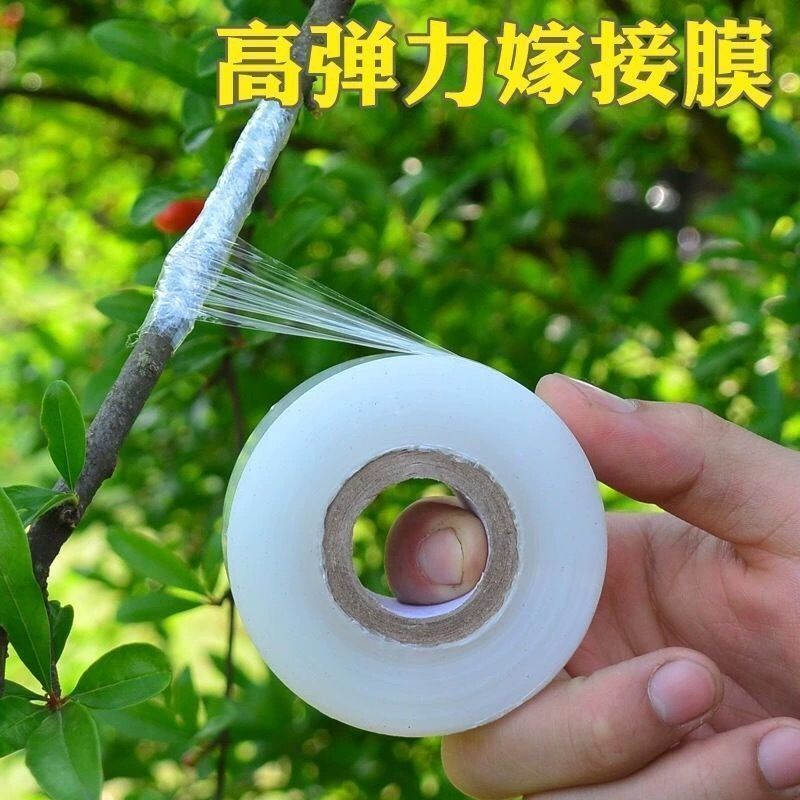 嫁接膜3-5公分进口塑料嫁接专用膜自粘型无需打结果树嫁接