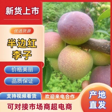 半边红即将上市，有需要的老板请提前预定。