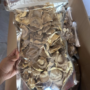 有机椴木香菇囗感好产地直销保质保量欢迎选购