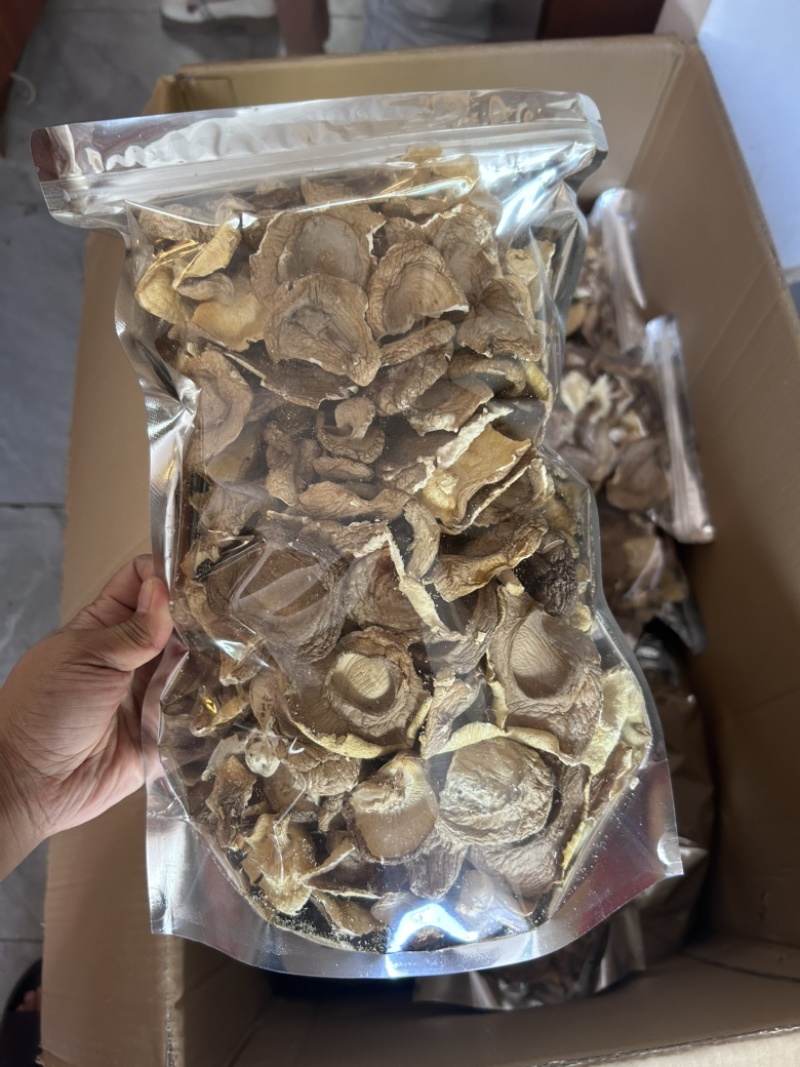 有机椴木香菇囗感好产地直销保质保量欢迎选购