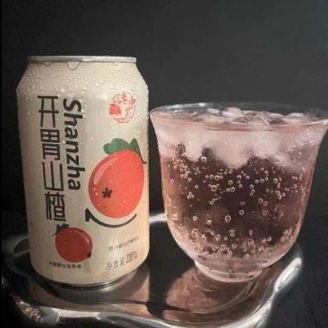 2025新店开胃山楂汽水果汁碳酸无糖饮料320ml罐装批发整