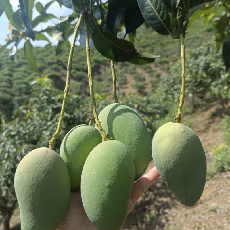 需要的请联系