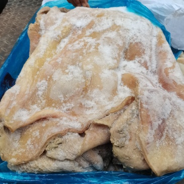 牛肚带金钱肚郑州现货一件也是批发价