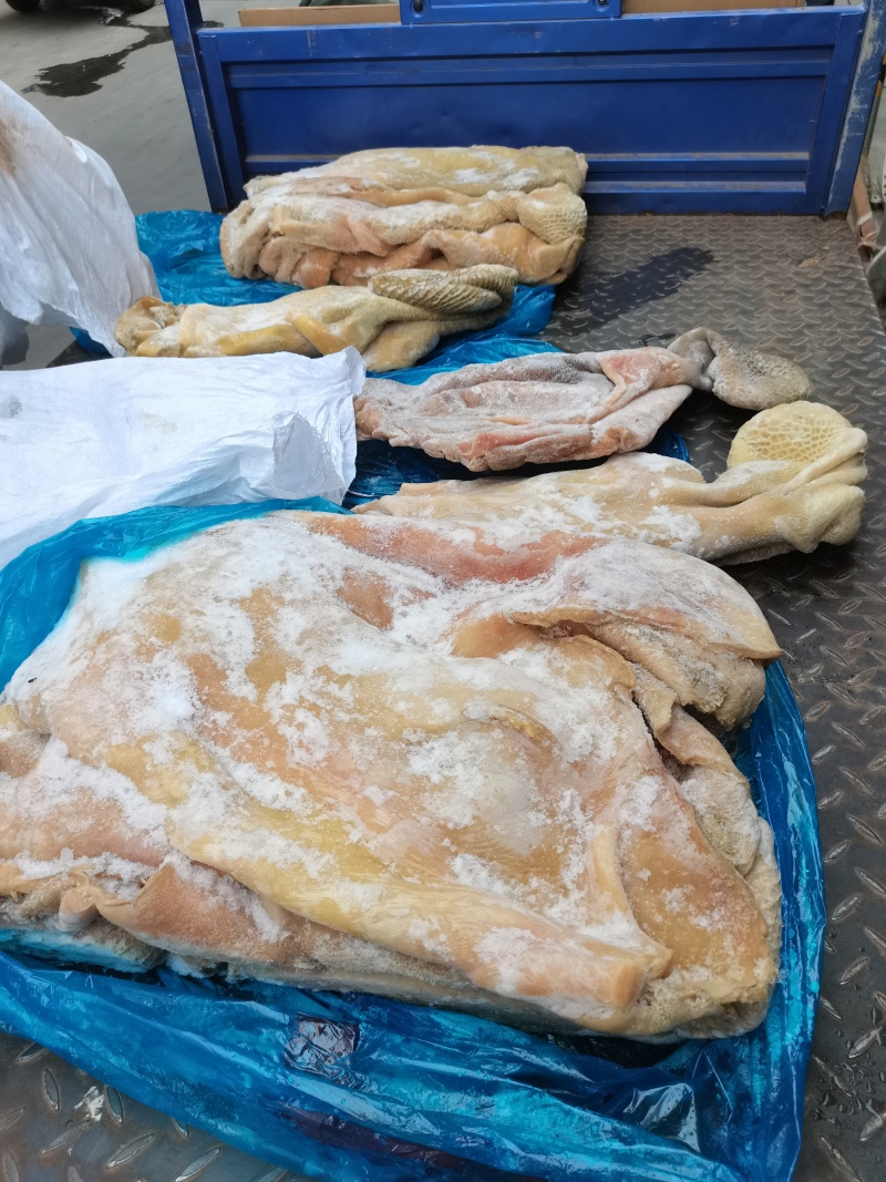 牛肚带金钱肚郑州现货一件也是批发价
