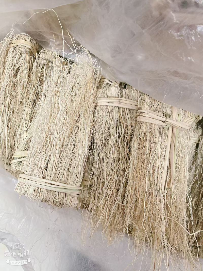 广东精品养肝草细根源头产地，全国可发，欢迎下单咨询
