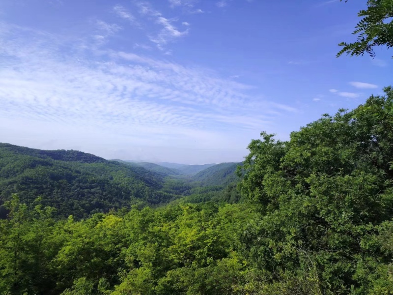 土蜂蜜深山放养，纯正天然，自产自销欢迎咨询