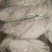 冰片/中药材/大量接单货源充足安徽铜陵/思秀/天然冰片