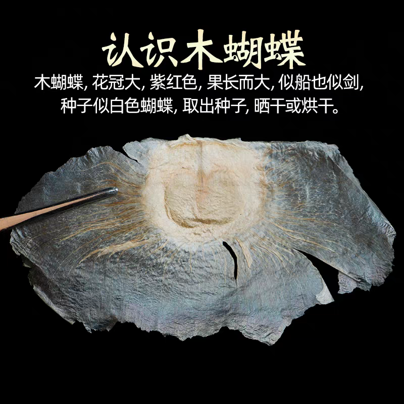 正宗云南西双版纳野生木蝴蝶中草药正品无硫千层纸玉蝴蝶