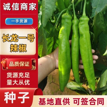 【精选辣椒种子】寿光嘉华辣椒种子大青椒尖椒种子高产抗病