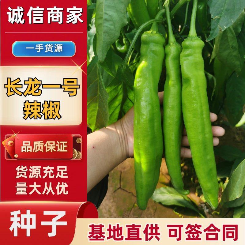 【精选辣椒种子】寿光嘉华辣椒种子大青椒尖椒种子高产抗病