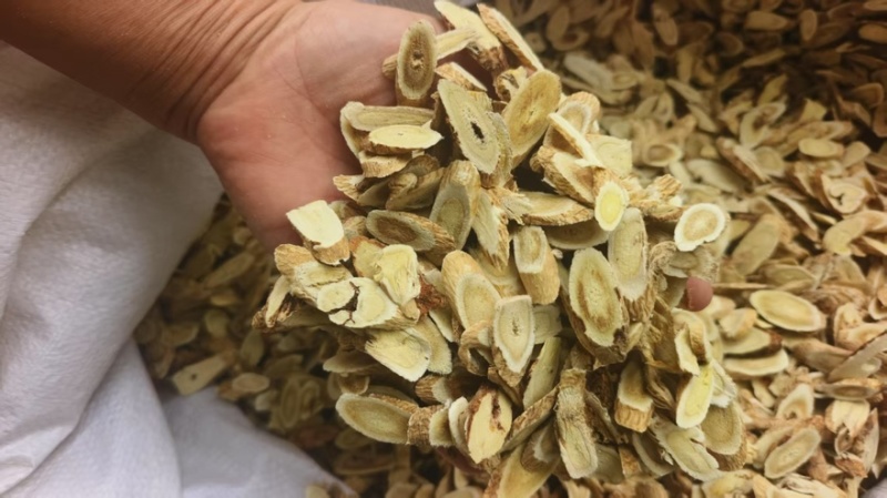【黄芪】河北沧州精品黄芪产地直发品质保障可视频看货