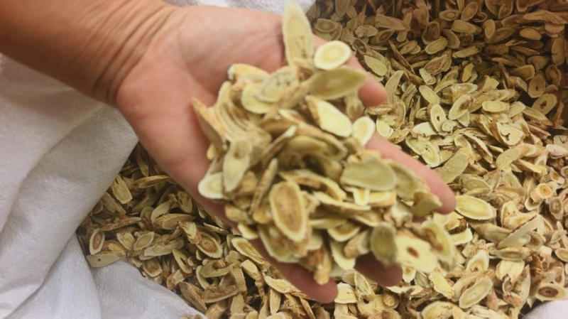 【黄芪】河北沧州精品黄芪产地直发品质保障可视频看货