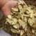 【黄芪】河北沧州精品黄芪产地直发品质保障可视频看货