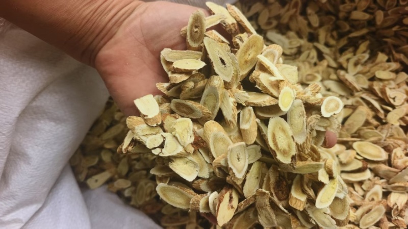 【黄芪】河北沧州精品黄芪产地直发品质保障可视频看货