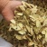【黄芪】河北沧州精品黄芪产地直发品质保障可视频看货