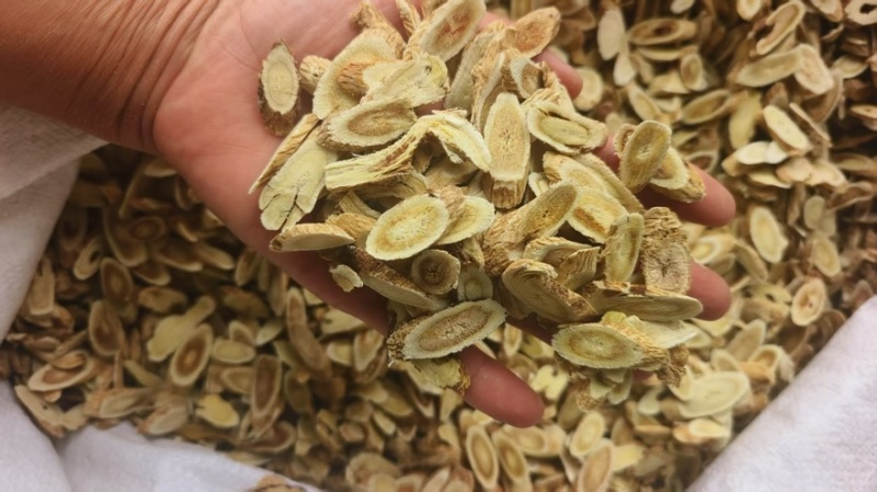 【黄芪】河北沧州精品黄芪产地直发品质保障可视频看货