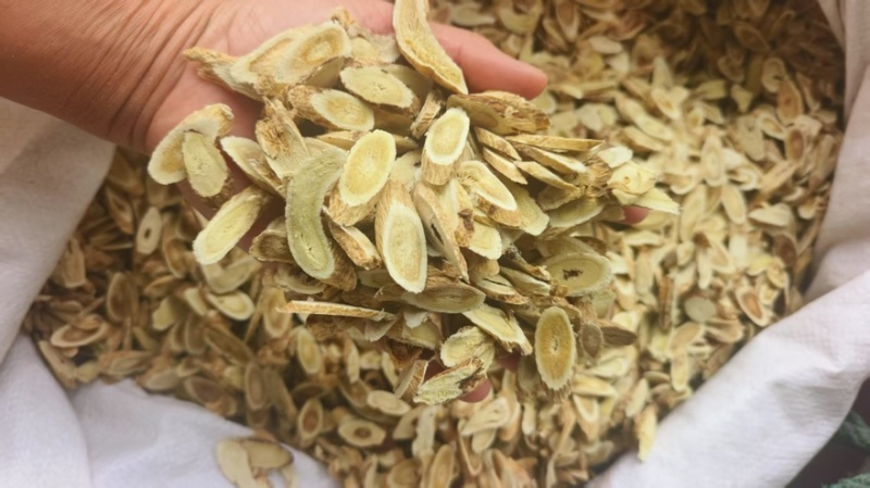 【黄芪】河北沧州精品黄芪产地直发品质保障可视频看货