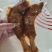 【熟羊杂】熟羊蹄开袋即食无需加工，三证齐全，厂家直销