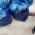 精品磐安高山长茄子产地供应质量保证欢迎咨询