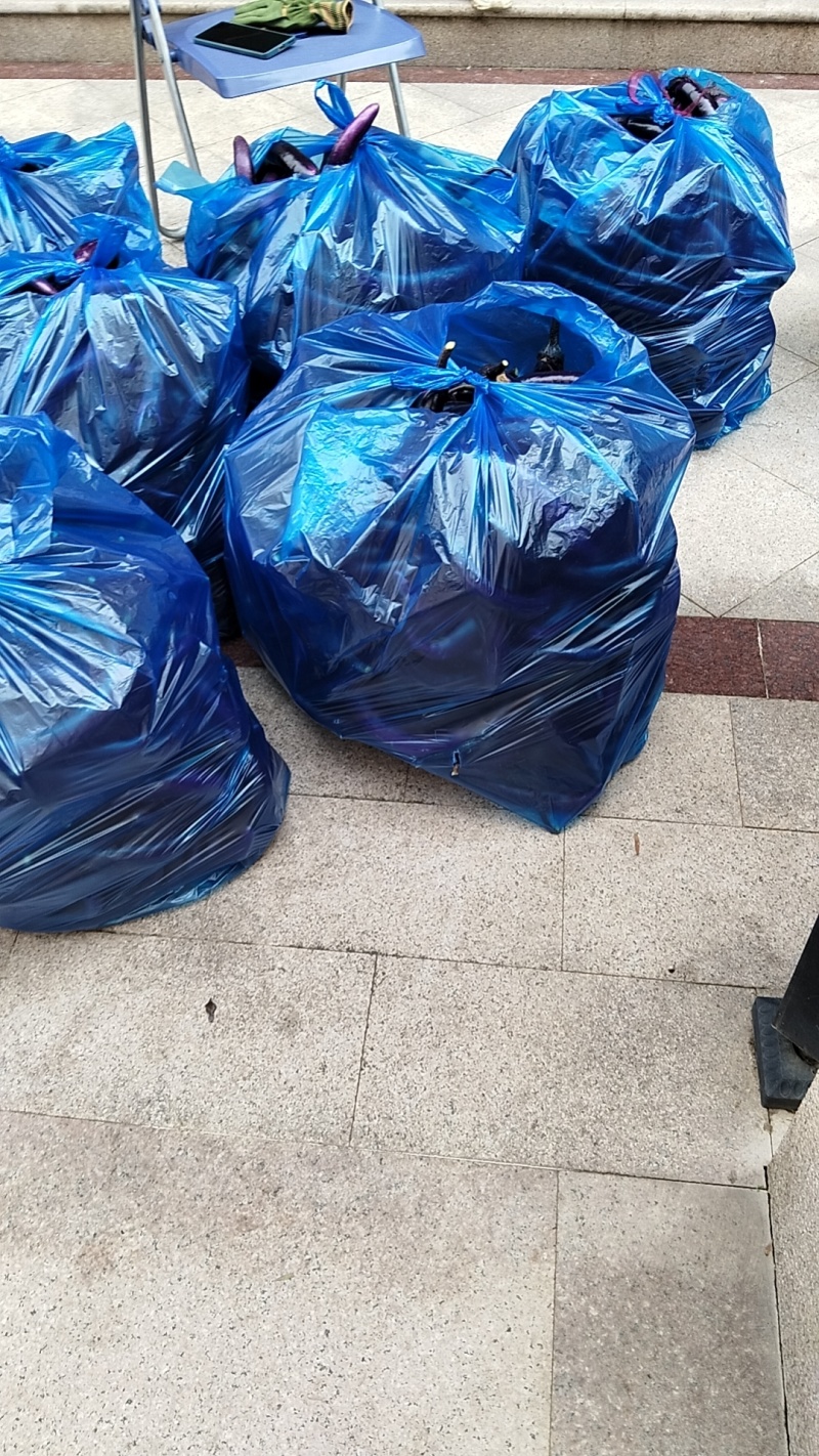 精品磐安高山长茄子产地供应质量保证欢迎咨询