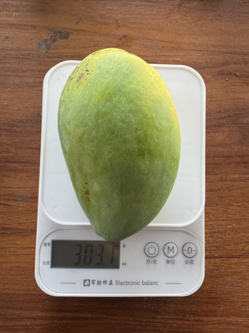 精选广西小台芒果小芒果广西芒果产地直发价格实惠欢迎联系