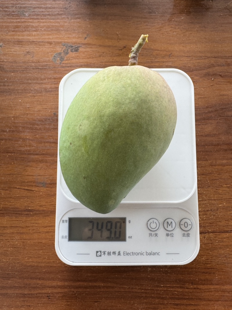 精选广西小台芒果小芒果广西芒果产地直发价格实惠欢迎联系