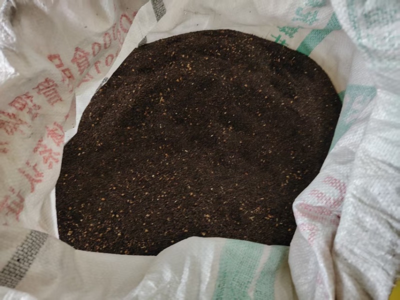 正宗车前子大量供应，一手货源，量大从优，颗粒饱满