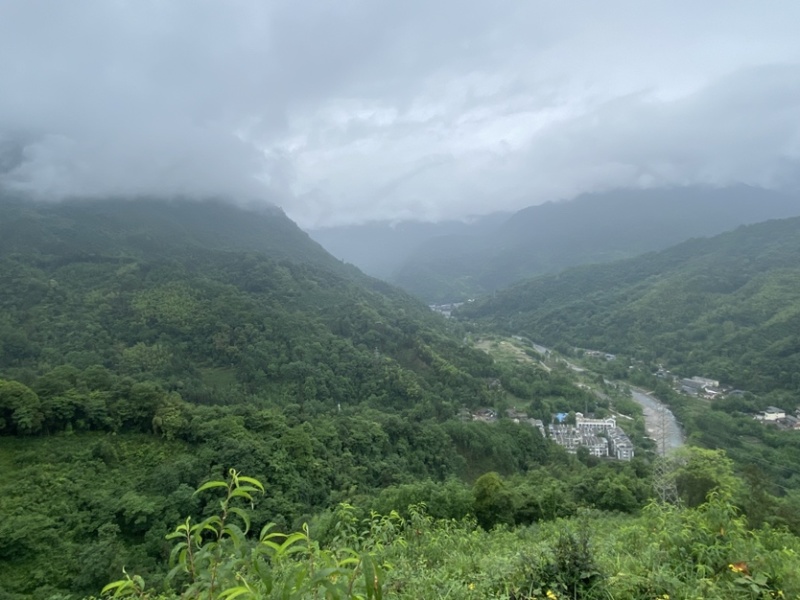 西岭雪山生态种植黄桃，友黄黄桃品种，优惠价批发