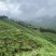西岭雪山生态种植黄桃，友黄黄桃品种，优惠价批发