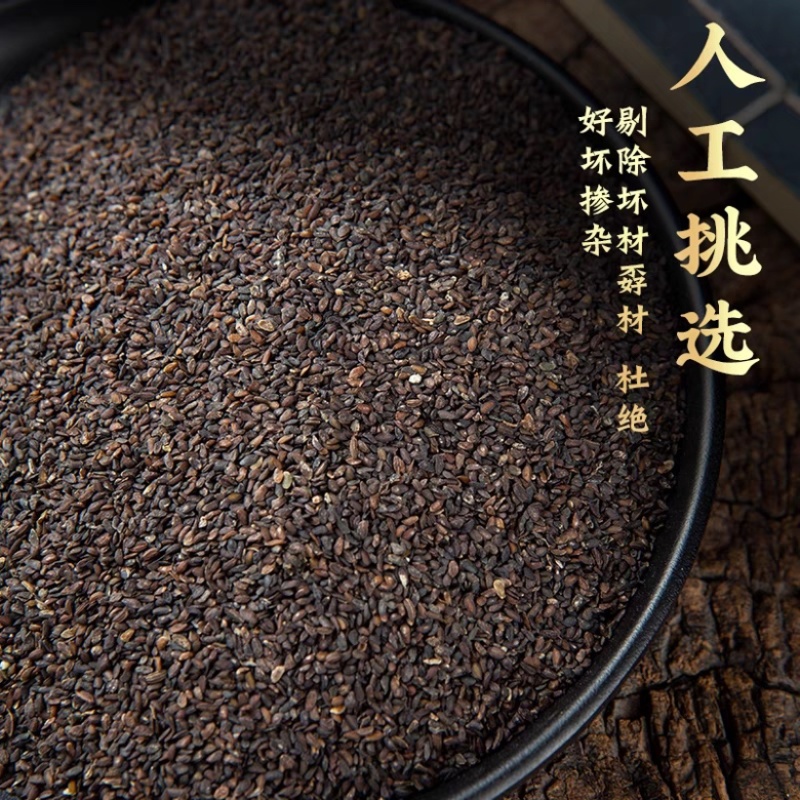 四川产区大量供应车前子量大从优，一手货源，欢迎咨询