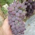 维多利亚，超甜多汁，特级品质，口口爆汁，口感棒棒哒