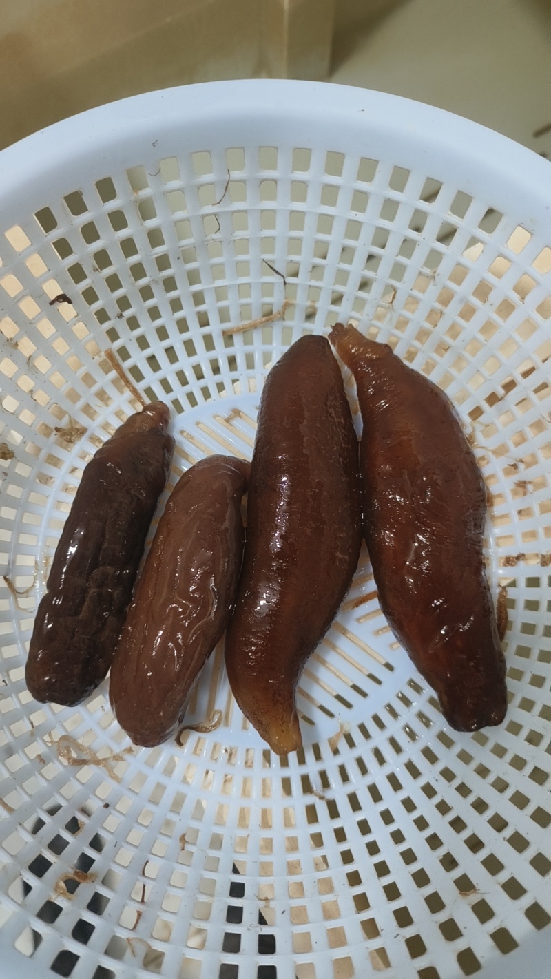 新鲜冷冻茄参富含蛋白质维生素酒店家用海鲜食材批发
