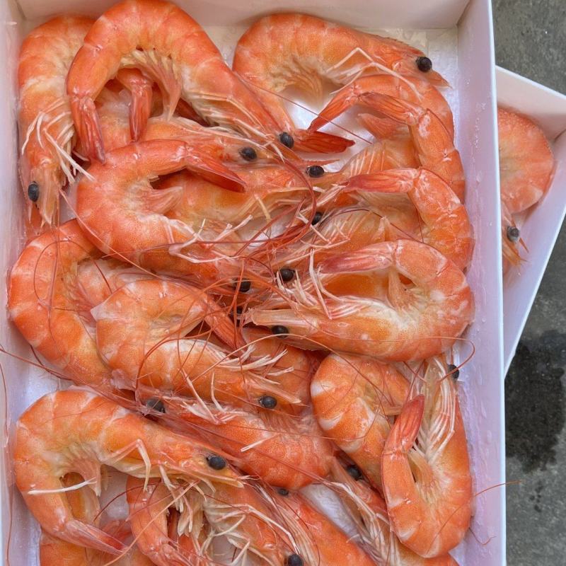 湛江熟香虾