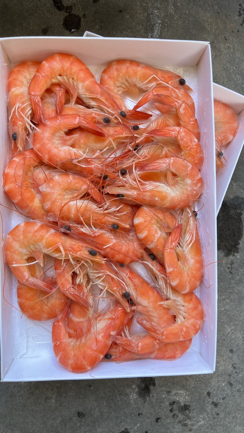 湛江熟香虾