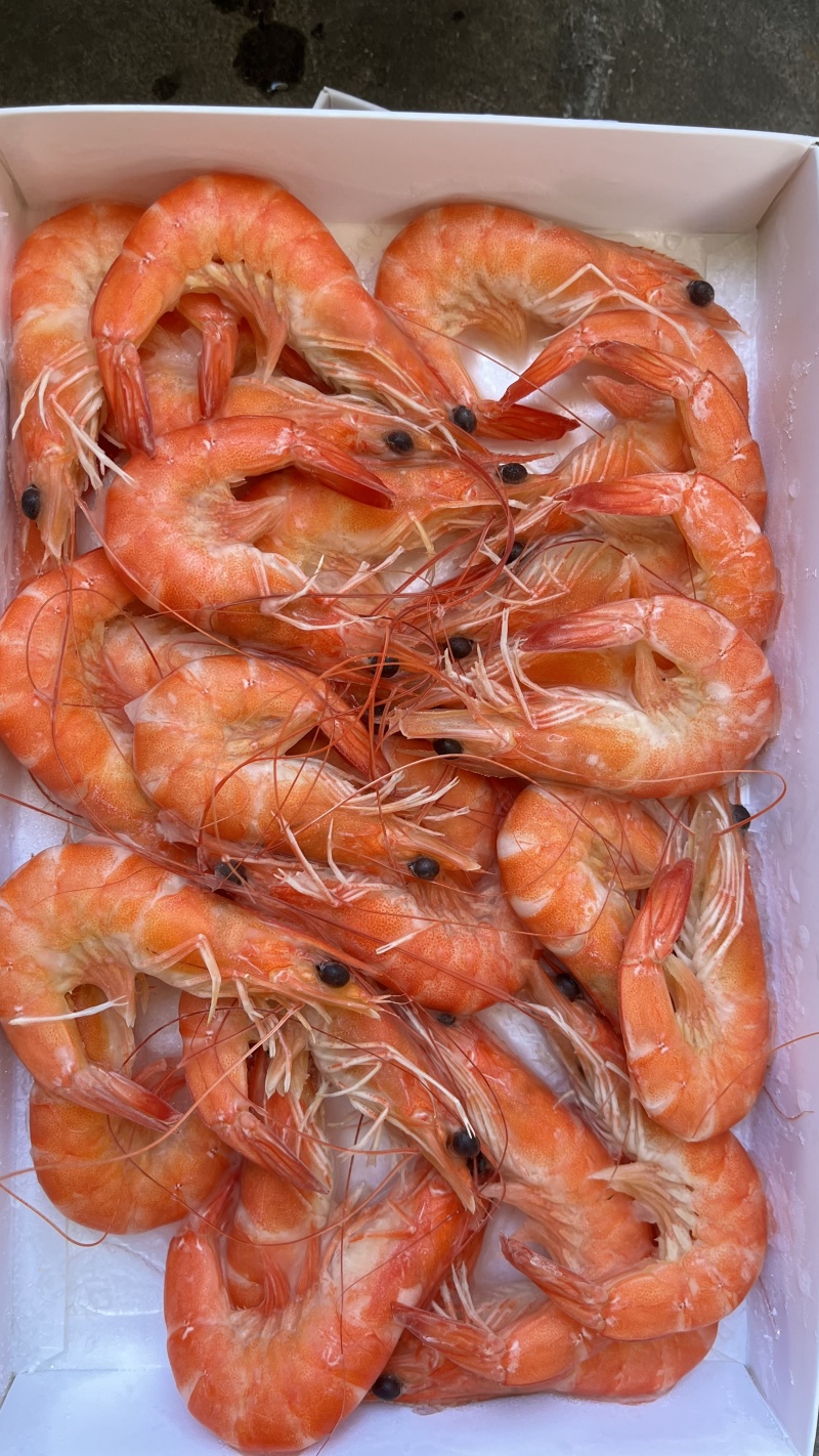 湛江熟香虾