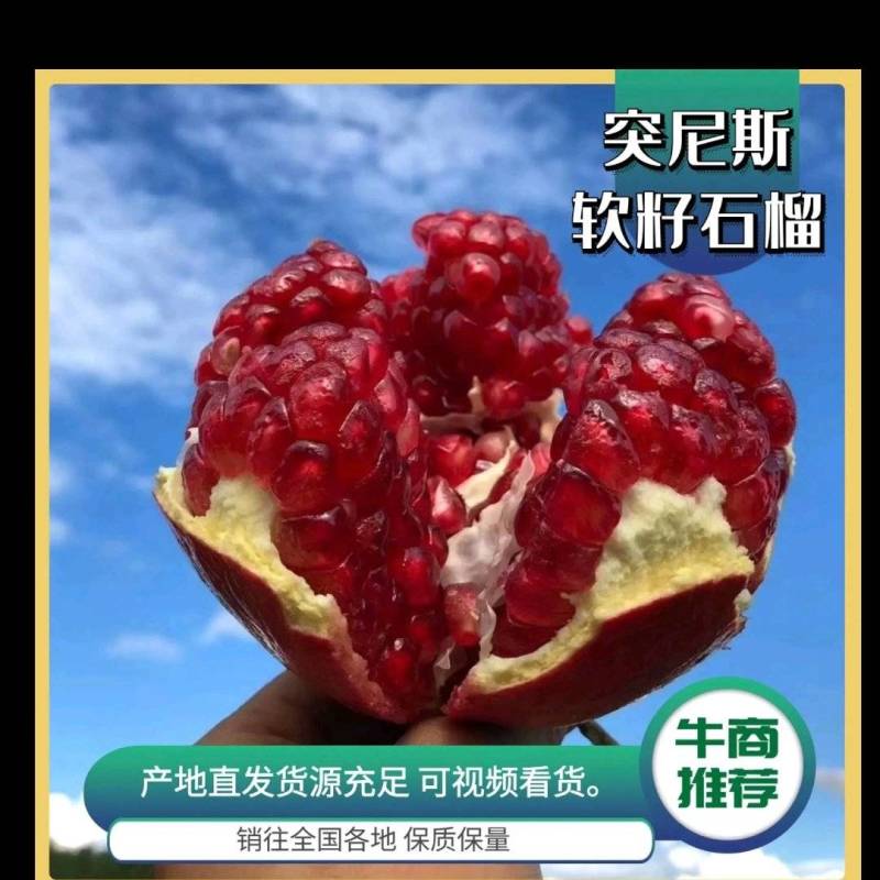 四川会理石榴，供应电商平台，批发市场，代办