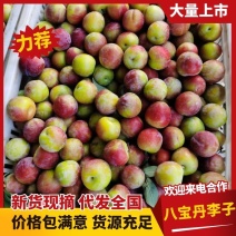 脆甜李子，八宝丹李子，八宝李，产地直发！