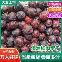 李子湖北李子红心李澳洲红肉李樱桃李产地整车发货量大！
