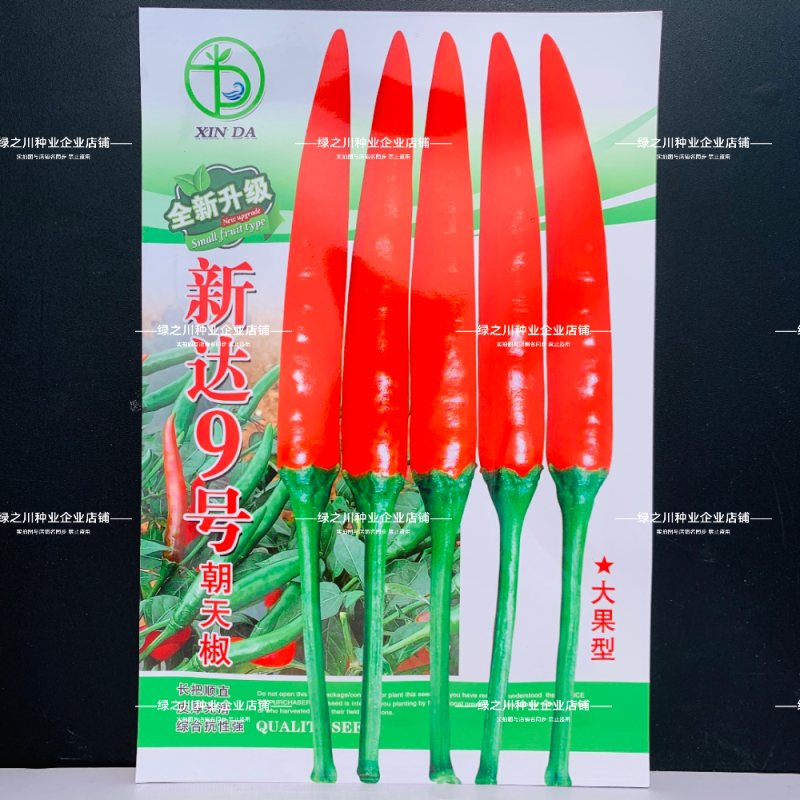 新达9号朝天椒种子长把顺直大果朝天椒种子高产果硬鲜红油亮