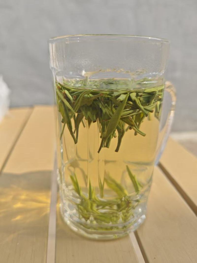 贵州明前翠芽，