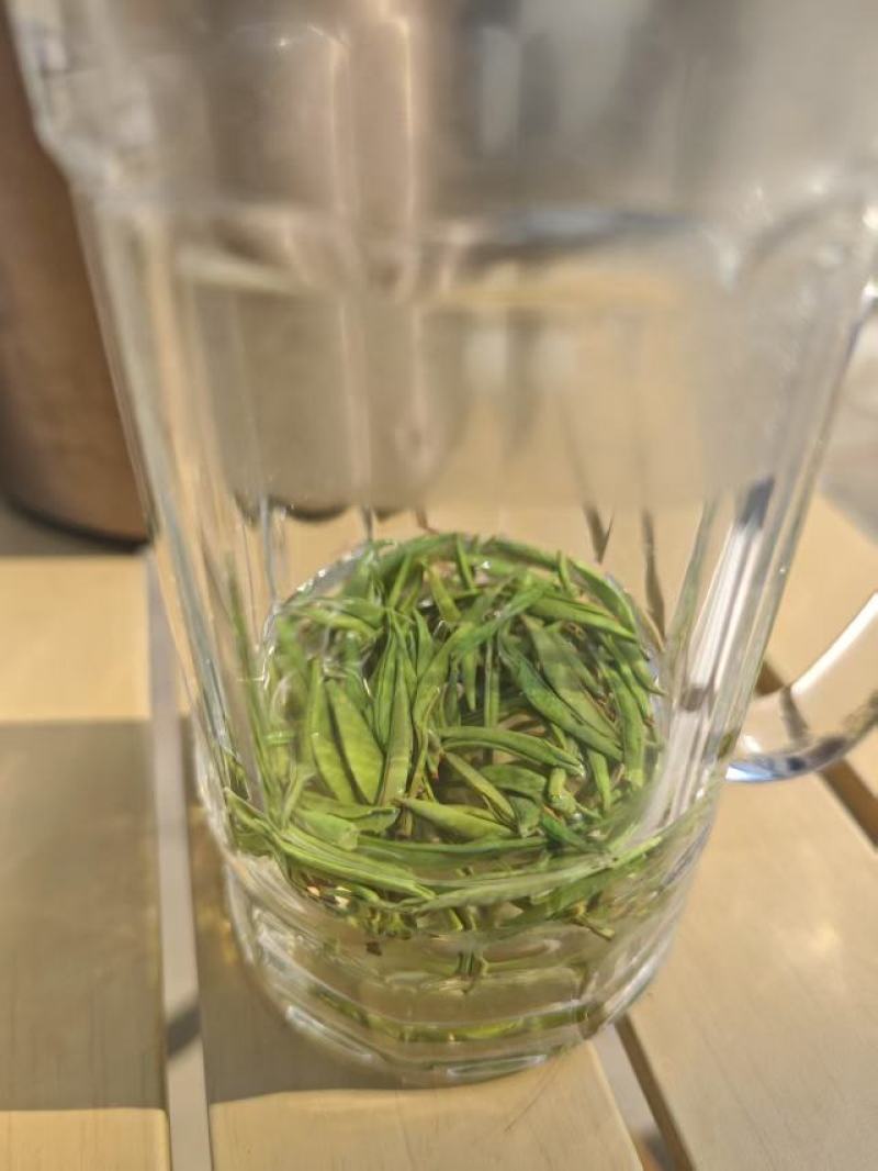 贵州明前翠芽，