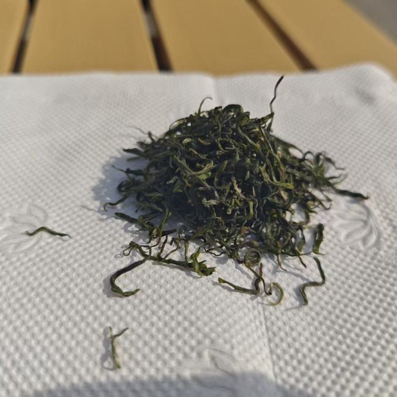 贵州老树毛尖，电话+v,可发样品