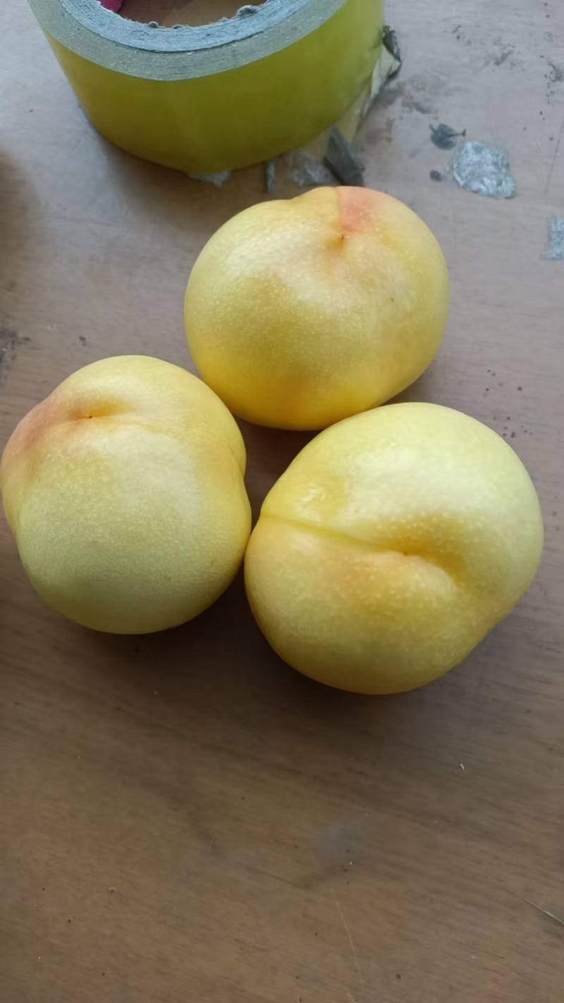 黄油桃