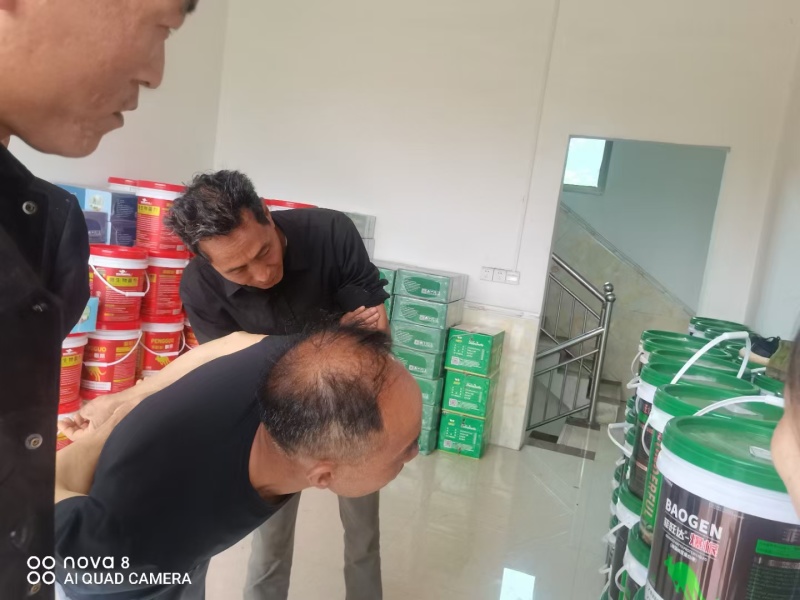 虾红素鱼蛋白原浆快速生根叶片肥厚浓绿膨大果实