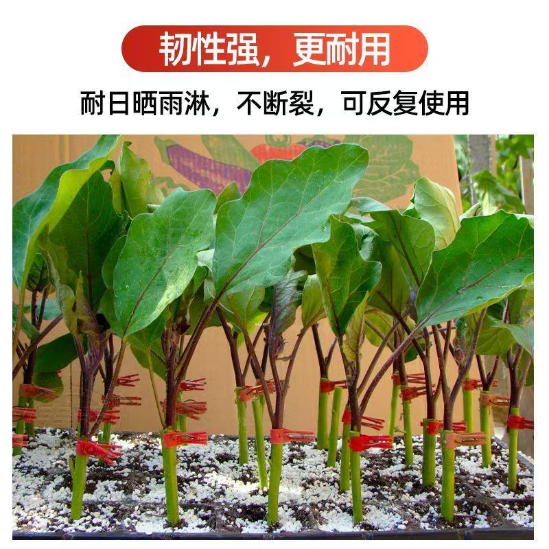 嫁接夹子西瓜茄子黄瓜蟹爪兰嫁接专用嫁接夹子平口圆口蔬菜
