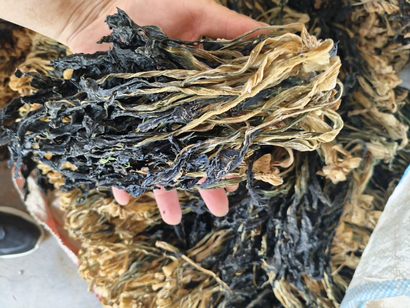 黑叶白菜干